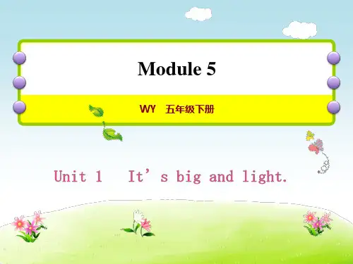 外研版Module5Unit1It'sbigandlight课件