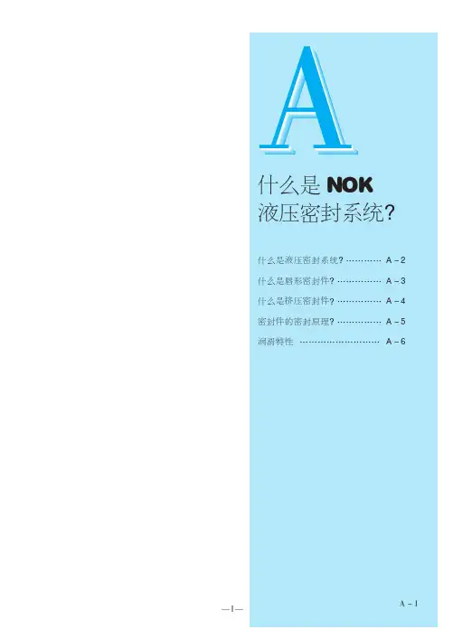 NOK密封样本1-55