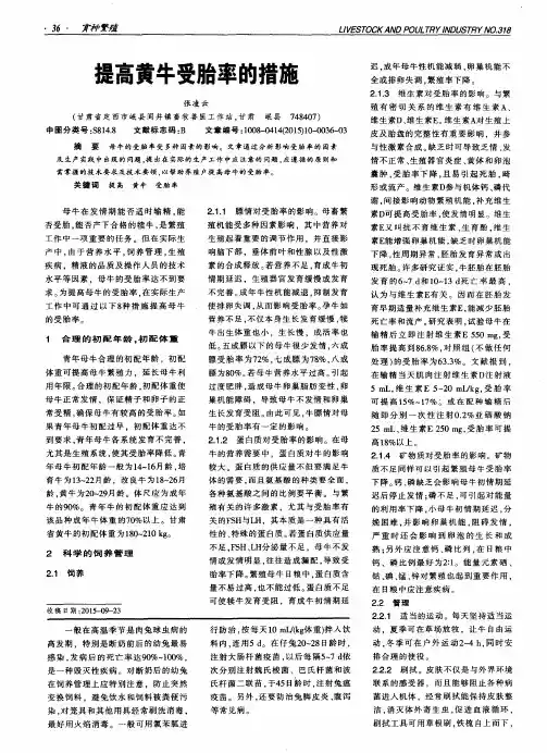提高黄牛受胎率的措施