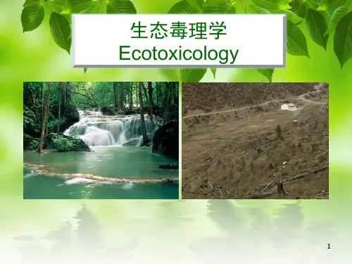 第一章生态毒理学绪论ppt课件