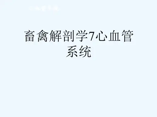 畜禽解剖学7心血管系统[可修改版ppt]