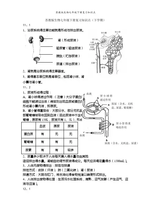 苏教版生物七年级下册复习知识点