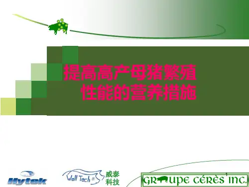 提高高产母猪繁殖性能的营养措施PPT课件