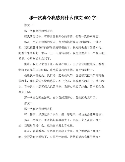 那一次真令我感到什么作文400字