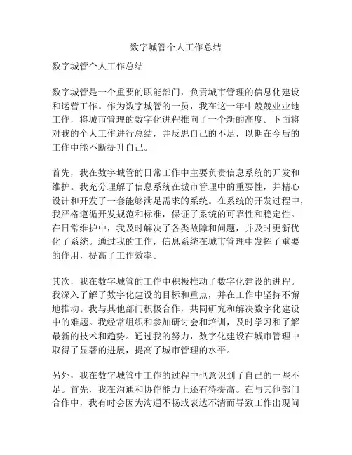 数字城管个人工作总结
