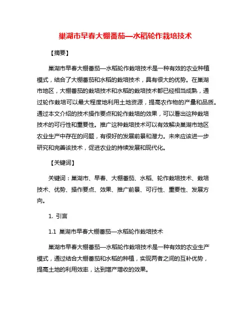 巢湖市早春大棚番茄—水稻轮作栽培技术