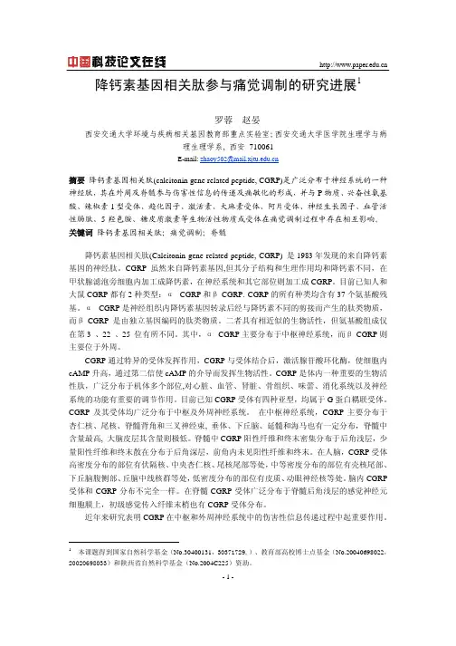 降钙素基因相关肽参与痛觉调制探究进展