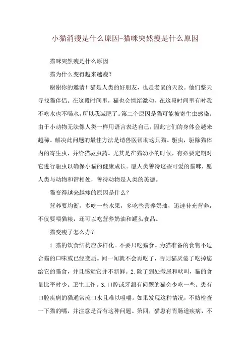 小猫消瘦是什么原因-猫咪突然瘦是什么原因