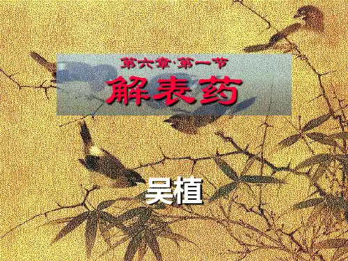 解表药方-ppt课件