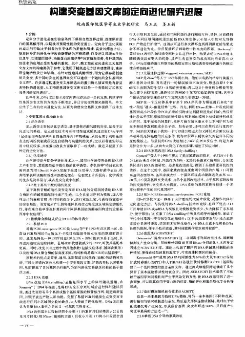 构建突变基因文库的定向进化研究进展