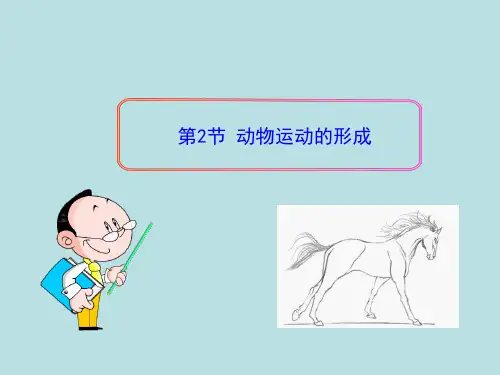 北师大版八年级生物上册第15章第2节动物运动的形成