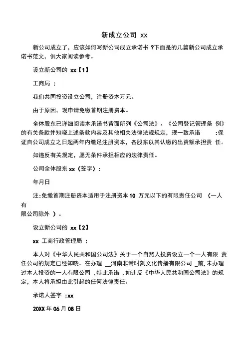 新成立公司承诺书