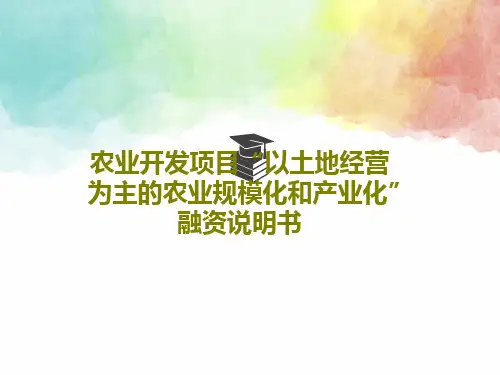 农业开发项目“以土地经营为主的农业规模化和产业化”融资说明书36页PPT