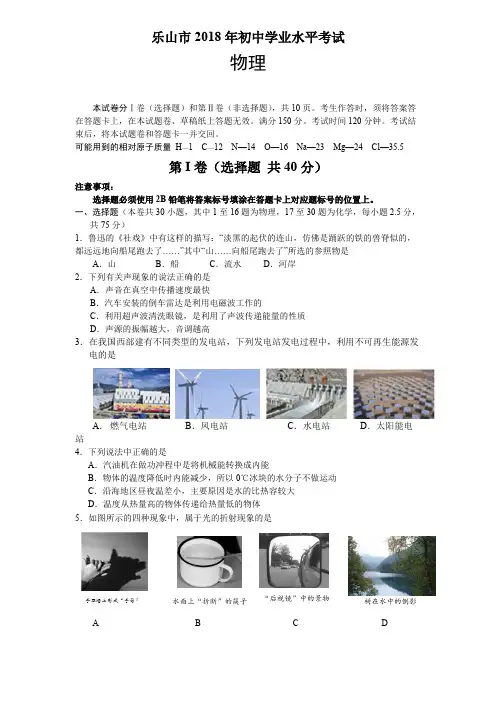 四川省乐山市2018年中考物理试题及答案