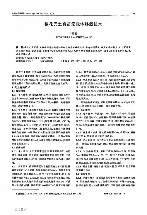 棉花无土育苗无载体移栽技术