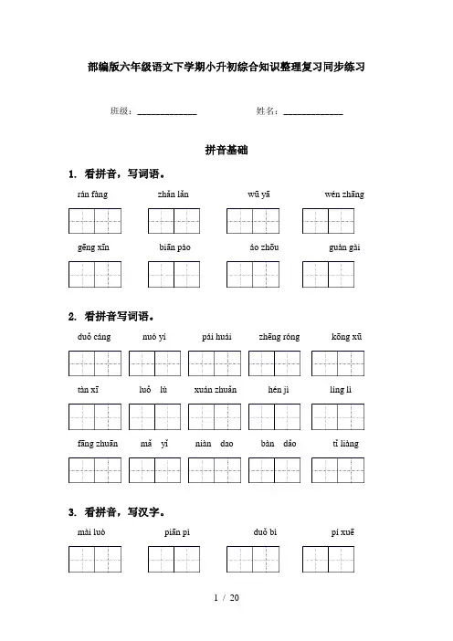 部编版六年级语文下学期小升初综合知识整理复习同步练习