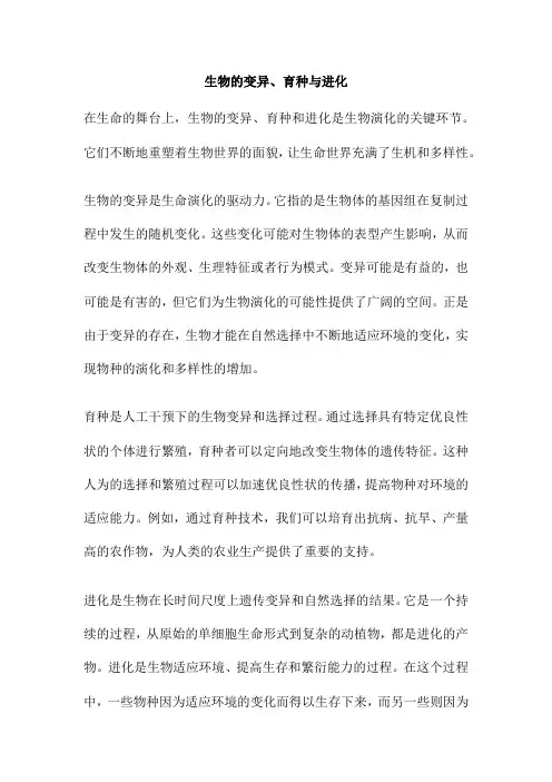 生物的变异、育种与进化