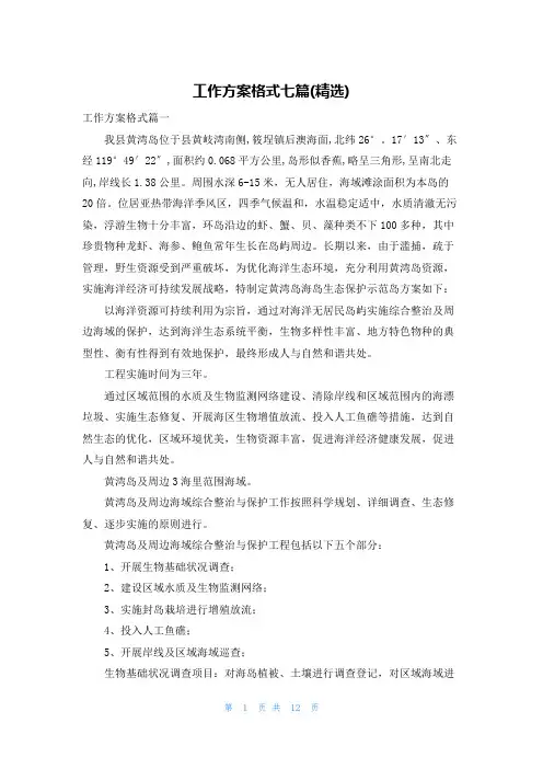 工作方案格式七篇(精选)