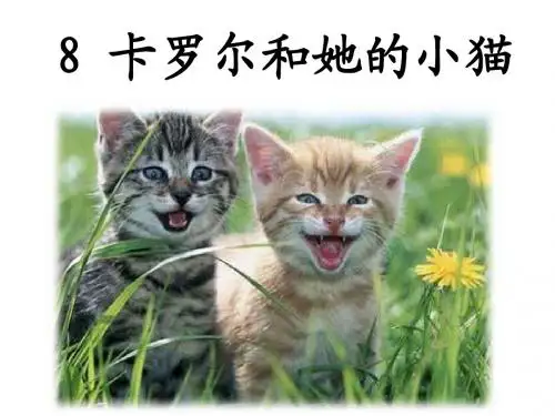 8卡罗尔和她的小猫