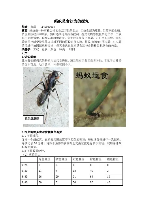 蚂蚁觅食行为的探究(小论文)