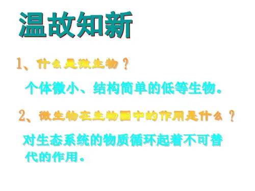 北师大版八年级生物上册第18章第2节微生物和人类的关系 (共45张PPT)