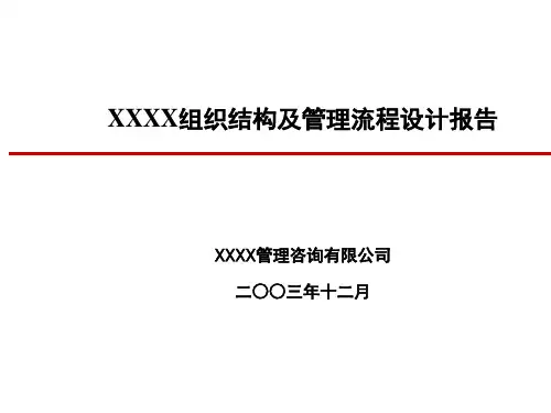 北大纵横--XX公司组织结构及管理流程设计报告.