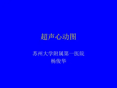 超声心动图