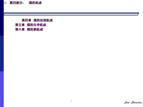 煤的岩相组成ppt课件