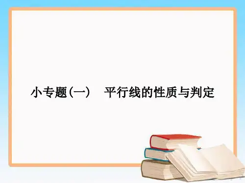 人教版七年级数学下册期末专题复习课件(共5类)