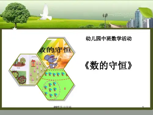 数的守恒课件