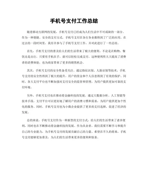 手机号支付工作总结