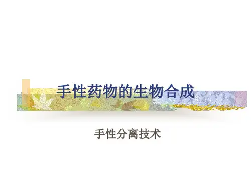 手性药物的生物合成技术研究精品PPT课件