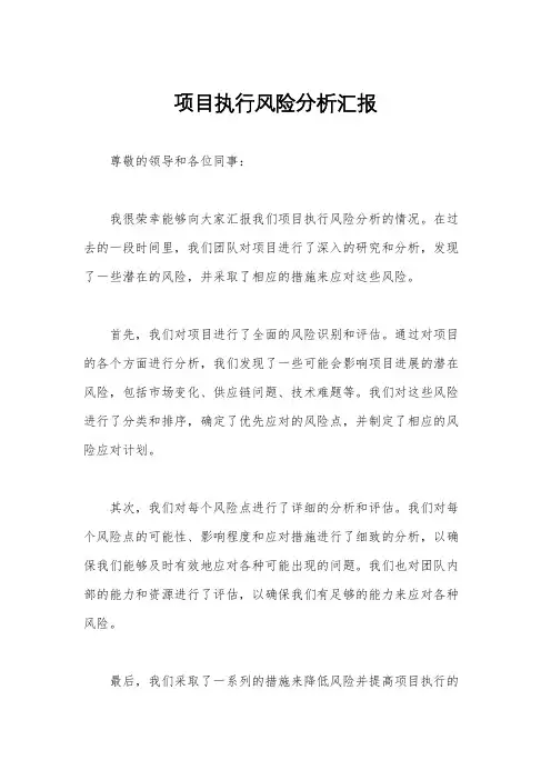 项目执行风险分析汇报
