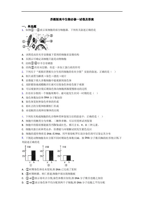 苏教版高中生物必修一试卷及答案