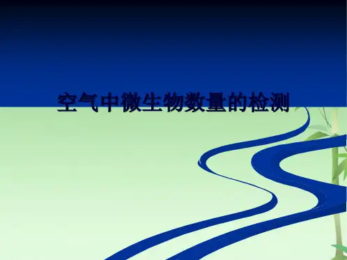 空气中微生物的检测(共24张PPT)