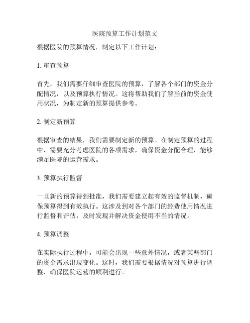 医院预算工作计划范文