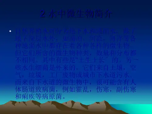 水质粪大肠菌群的测定(共28张PPT)