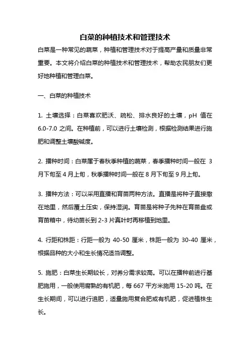 白菜的种植技术和管理技术