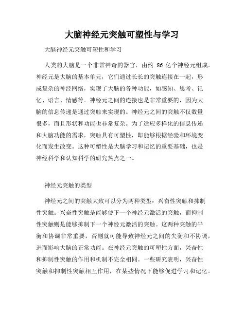 大脑神经元突触可塑性与学习