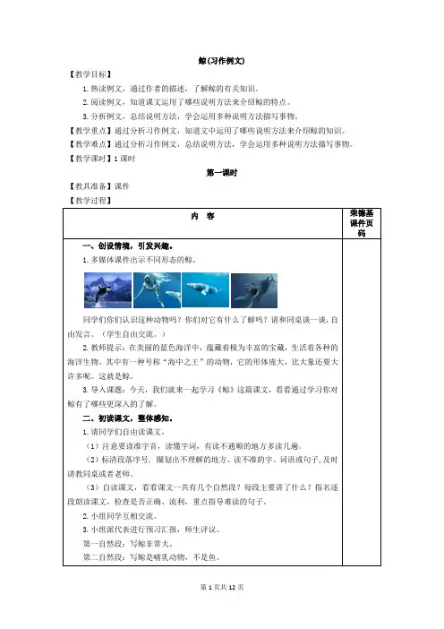 部编版五年级语文上册习作例文《鲸》《风向袋的制作》精品教案