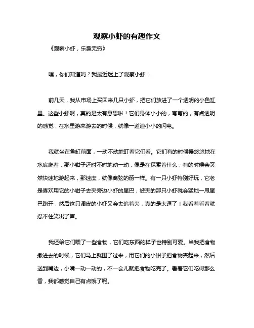 观察小虾的有趣作文