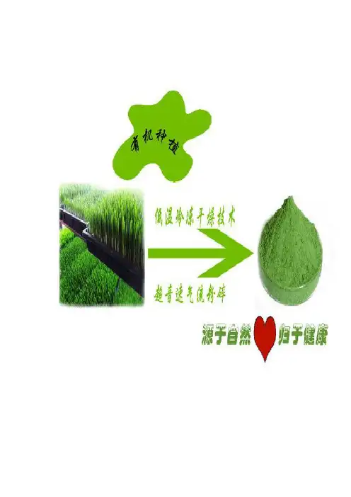 麦苗粉的作用