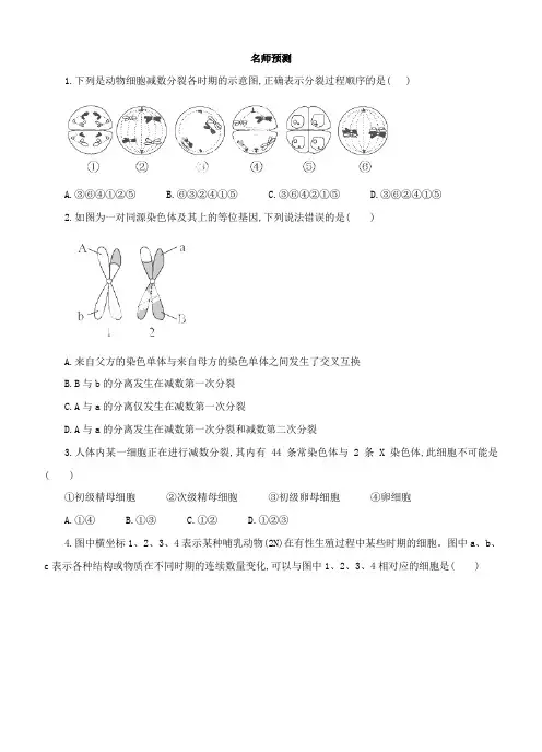 2014届高考生物一轮复习精品预测专题4.3 减数分裂和受精作用