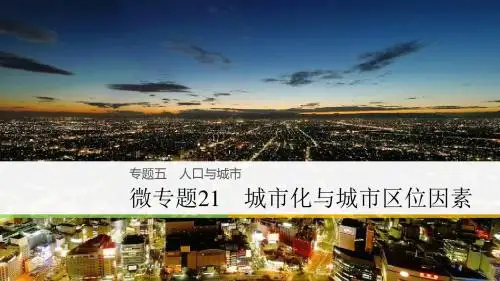2018届高考地理大二轮复习浙江选考版课件：专题5 人口与城市 微专题21 城市化与城市区位因素