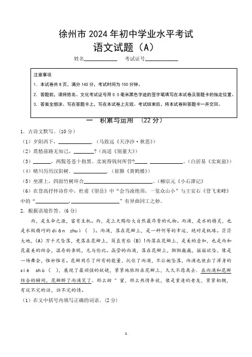 2024年江苏省徐州市中考模拟语文试题A卷(含答案)