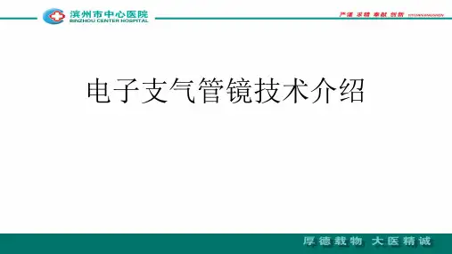 电子支气管镜技术介绍
