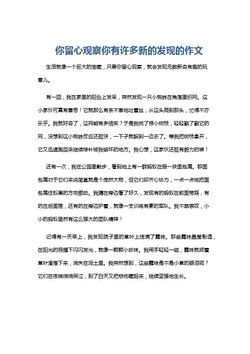你留心观察你有许多新的发现的作文
