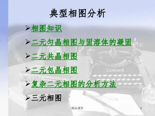 典型相图分析PPT课件
