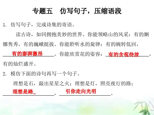 九年级语文仿写句子,压缩语段专题五