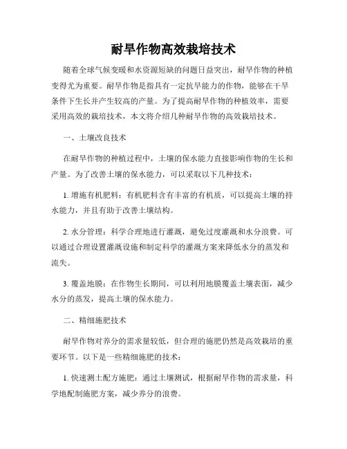 耐旱作物高效栽培技术
